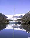 Patagonie : Estero Coloane